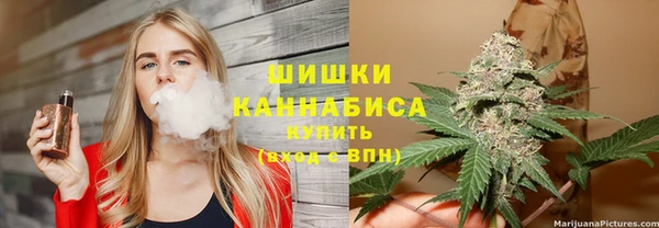 сатива Волоколамск