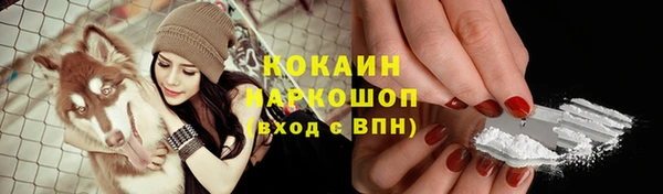 сатива Волоколамск