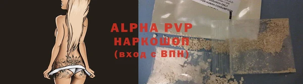 сатива Волоколамск