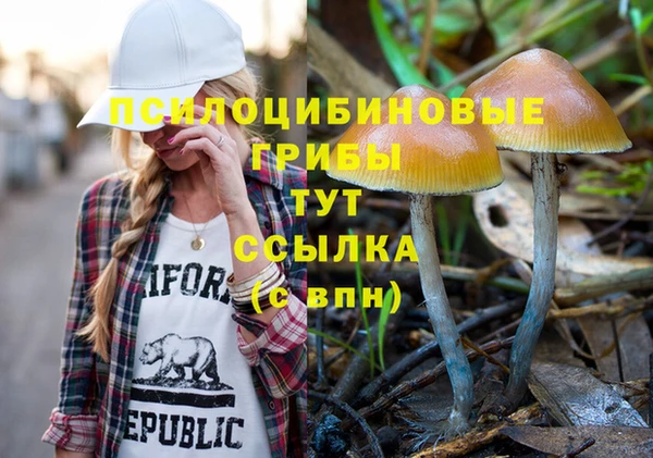 сатива Волоколамск