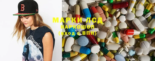 сатива Волоколамск